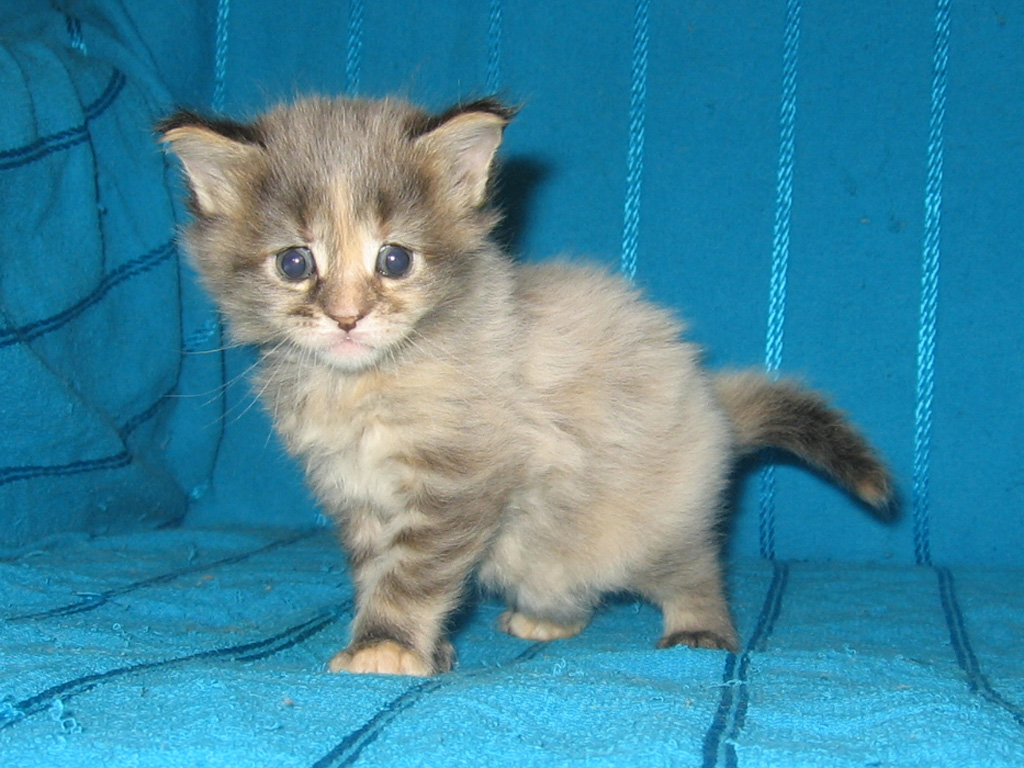 1 месяц