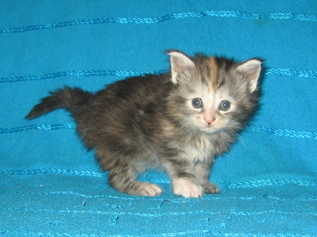 1 месяц