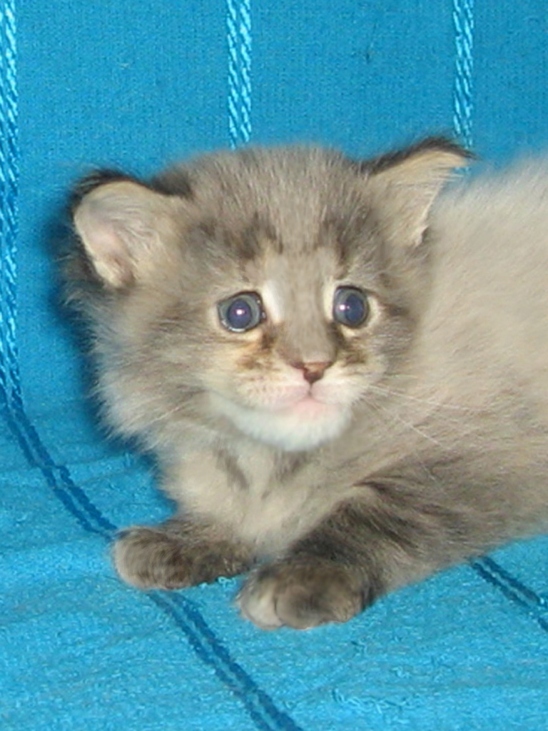 1 месяц