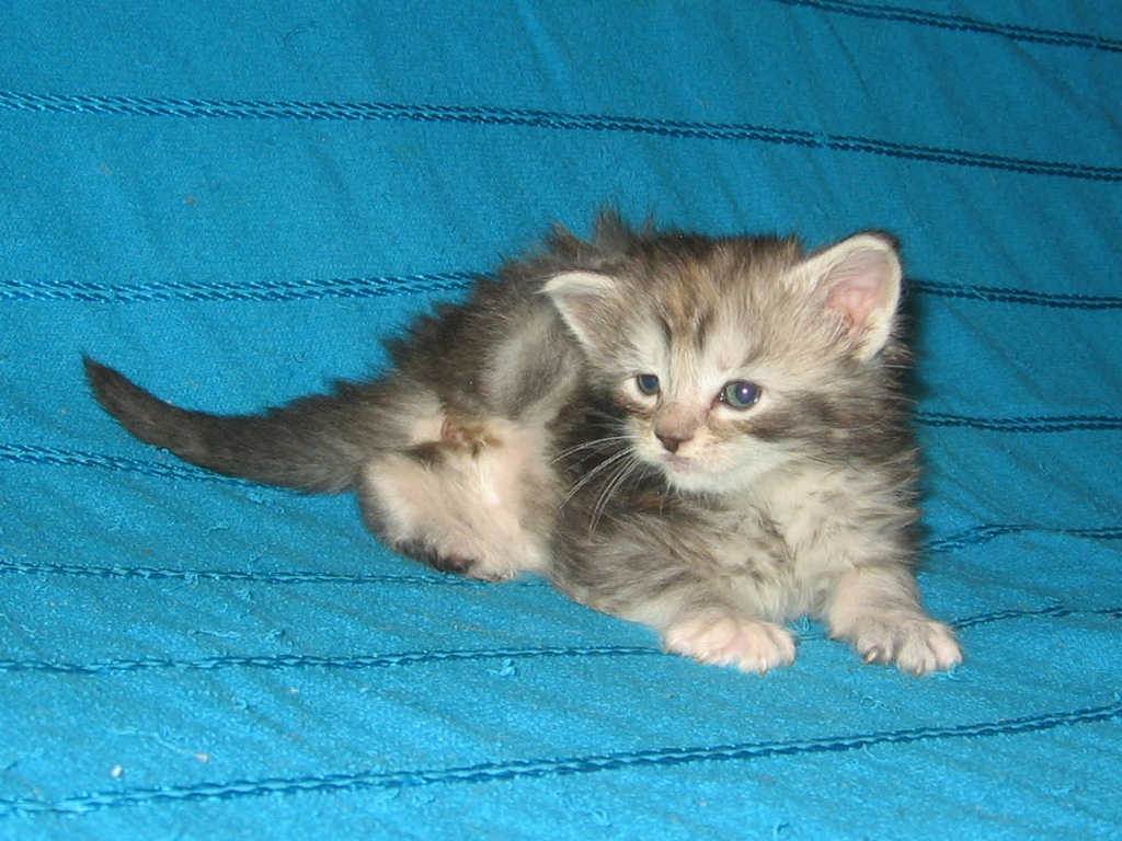 1 месяц