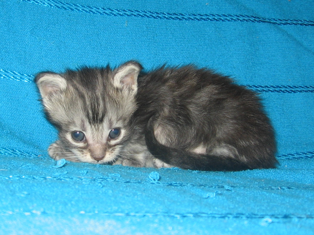 1 месяц